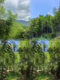 【安吉秋日限定】闖入江浙滬最治癒的金色童話世界