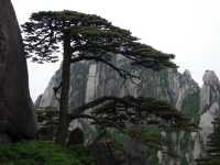 世界文化自然雙遺產——黃山