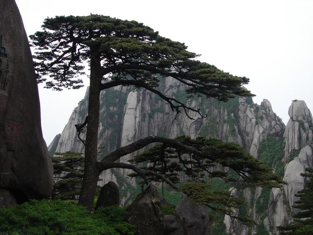 世界文化自然雙遺產——黃山