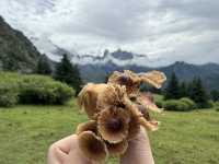 扎尕那很美,扎尕那很塞車