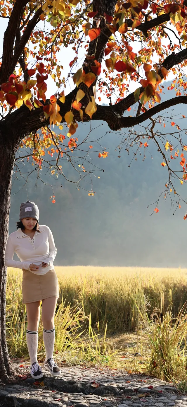 杭州出發|第 站黃山腳下週末兩日賞秋景 杭州出發|第 站黃山腳下週末兩日賞秋景