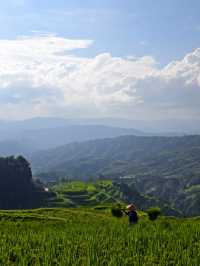 肇興侗寨&堂安梯田|人均800三天兩晚