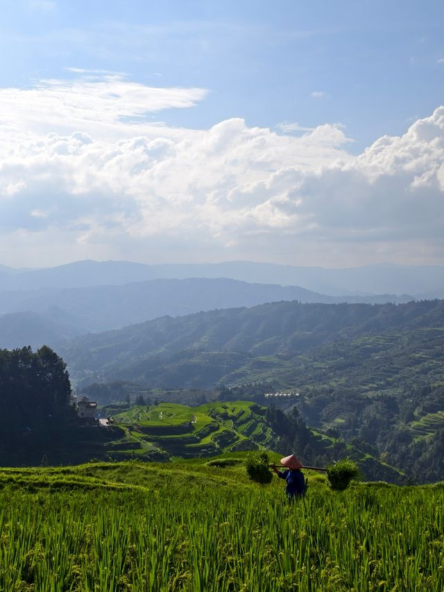 肇興侗寨&堂安梯田|人均800三天兩晚