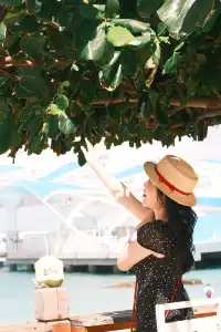 三亞五天四晚淡季旅遊攻略