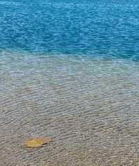 賽里木湖藍眼淚