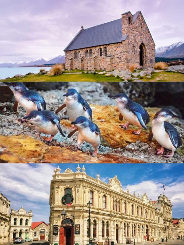 新西蘭旅遊南島3條路線！藍線綠線紅線