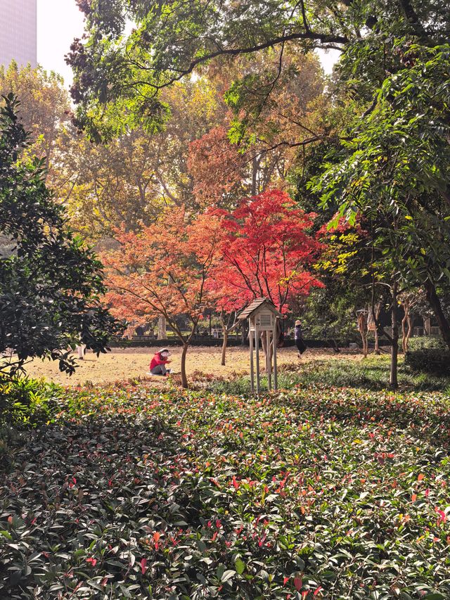 秋日限定!魔都城市氧吧暴走地圖 秋日限定!魔都城市氧吧暴走地圖