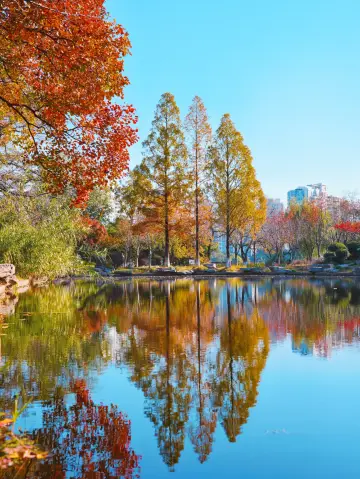 南京莫愁湖公園｜闖入金陵城裡的油畫秘境