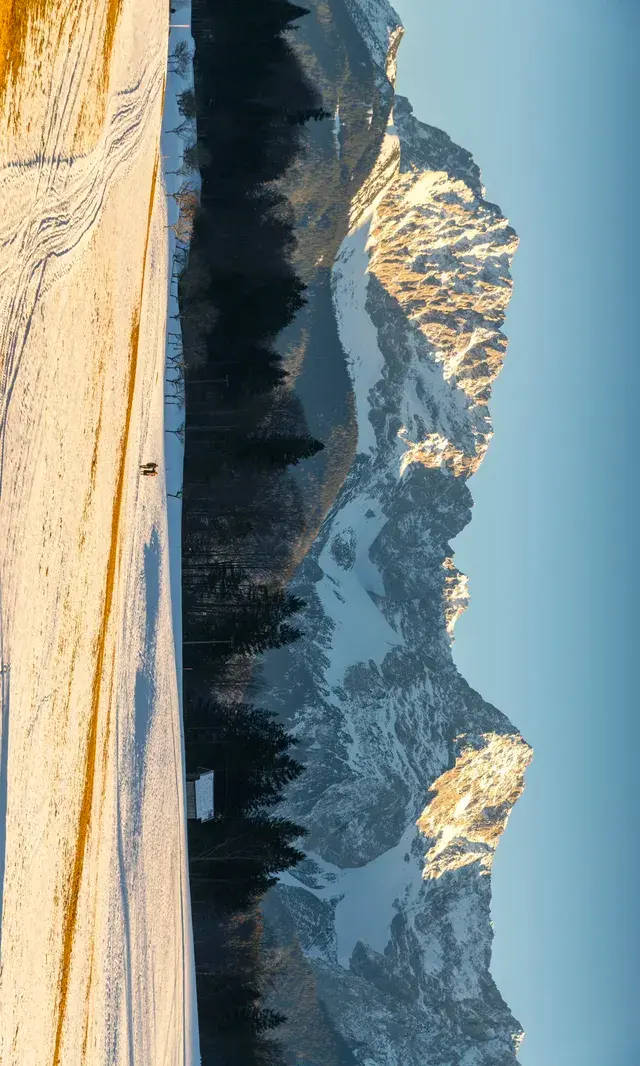 11.19雪後的慕尼黑南郊瘋狂了!!! 11.19雪後的慕尼黑南郊瘋狂了!!!