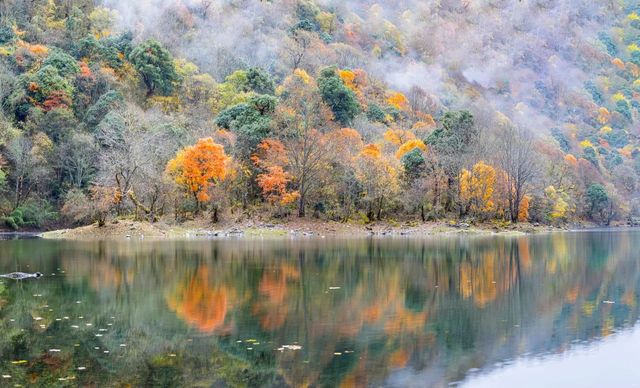 初冬的拖烏山,美得像一場不願醒來的夢 初冬的拖烏山,美得像一場不願醒來的夢