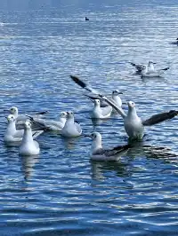 秋冬季遊瀘沽湖，人少景美性價比之王