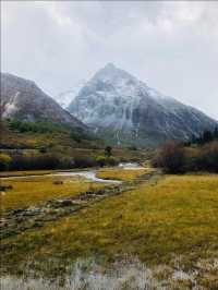 稻城亞丁秘境沖古草甸才是真正的世外桃源!