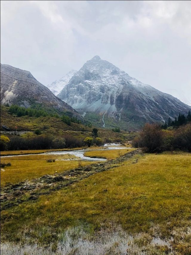 稻城亞丁秘境沖古草甸才是真正的世外桃源! 稻城亞丁秘境沖古草甸才是真正的世外桃源!