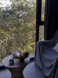 在西雙版納來了就不想走的酒店……