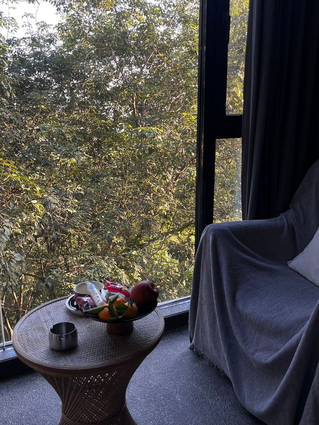 在西雙版納來了就不想走的酒店……