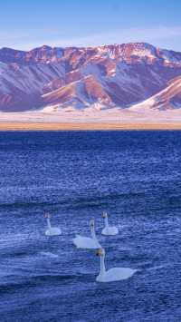 實拍新疆阿勒泰，人生一定要帶愛的人去一次