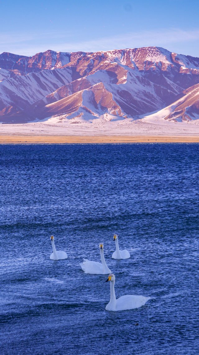 實拍新疆阿勒泰，人生一定要帶愛的人去一次