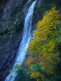 赴光霧山,收藏秋季限定浪漫