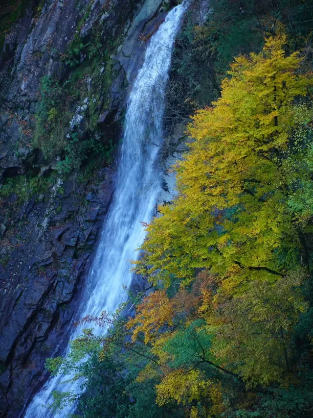 赴光霧山,收藏秋季限定浪漫 赴光霧山,收藏秋季限定浪漫