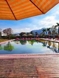 帶娃也能征服鼎湖山？真的做到了！！