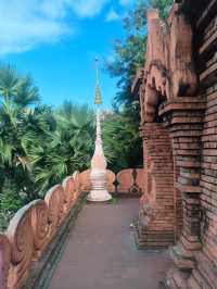 從景邁到西雙版納的姊妹遊