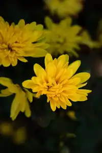 山野童行丨烏龍古道+八都岕一日暴走攻