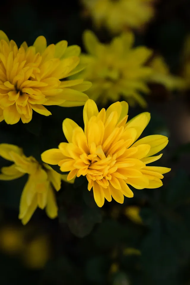 山野童行丨烏龍古道+八都岕一日暴走攻
