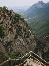 4天洛陽-鄭州深度遊 懶人直接抄功課啦