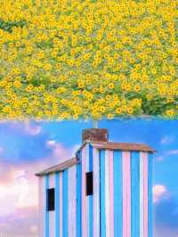 宿遷三臺山絕美仙境98%森林覆蓋超治癒！