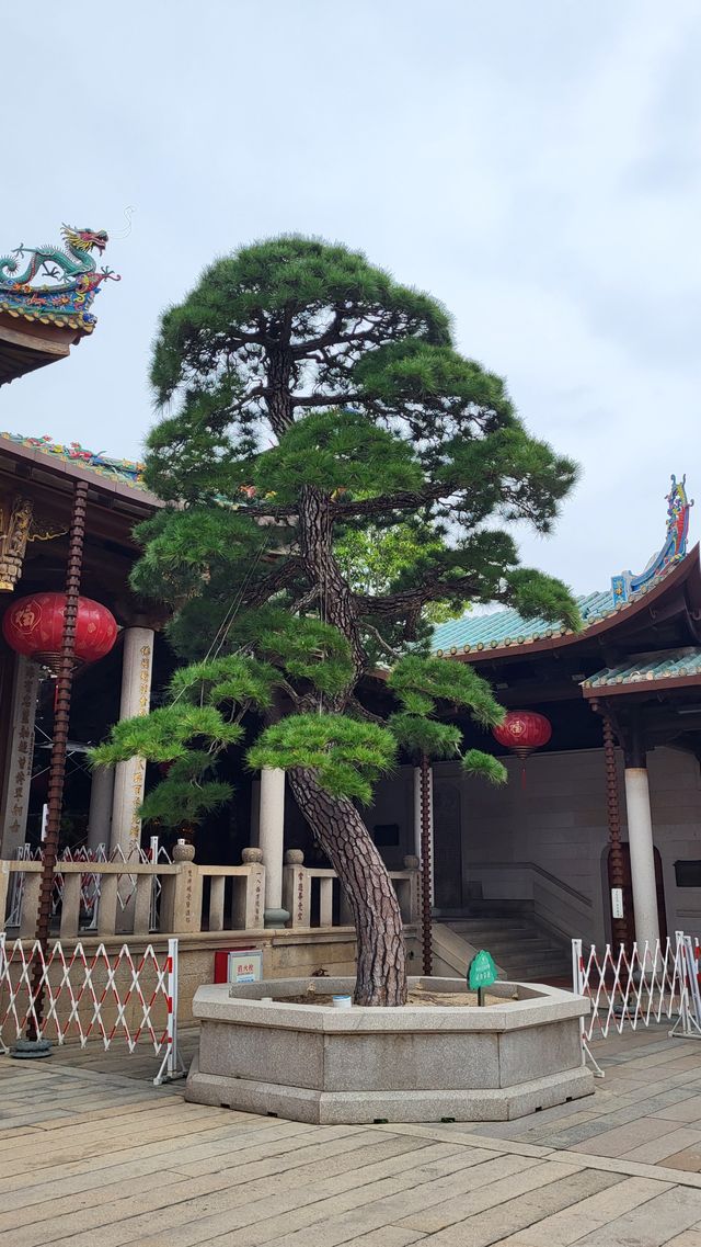廈門南普陀寺 廈門南普陀寺