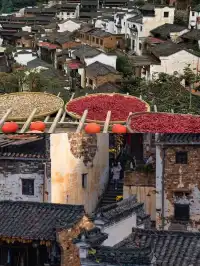 江西秋日3日漫遊！仙山古村瓷都承包所有浪漫