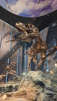 保定必看人文展館推薦