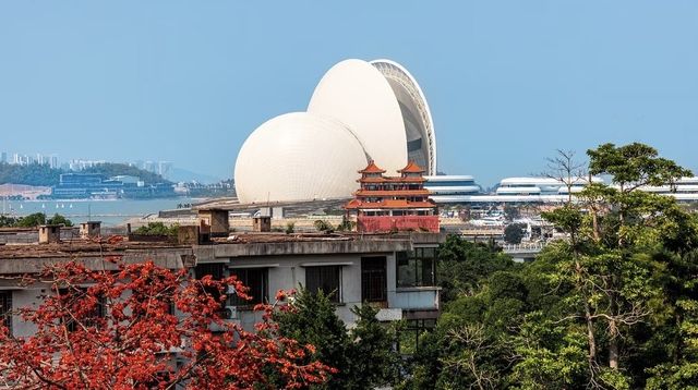 珠海望海亭賞花絕美機位