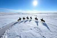 呼倫貝爾的正確打開方式本地人教你玩