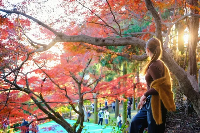 莫干山|一日賞楓11.30日 莫干山|一日賞楓11.30日