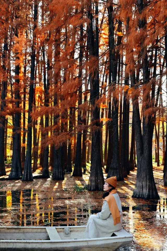 接下來的武漢，一定別錯過處絕美紅杉林