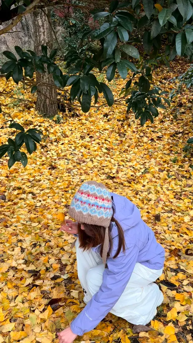 九華山兩天一夜攻略|抱佛腳 沒煩惱🪷