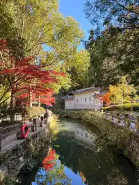 浙江台州「霞客古道」值得251129