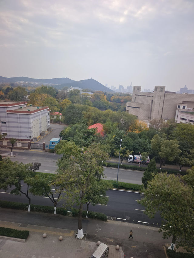 洲際假日酒店重磅開業，8分鐘直達樂園+親子buff疊滿