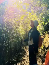 香港|大帽山郊野公園