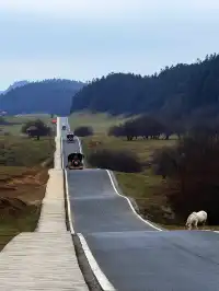 公路沒有盡頭，自由也是