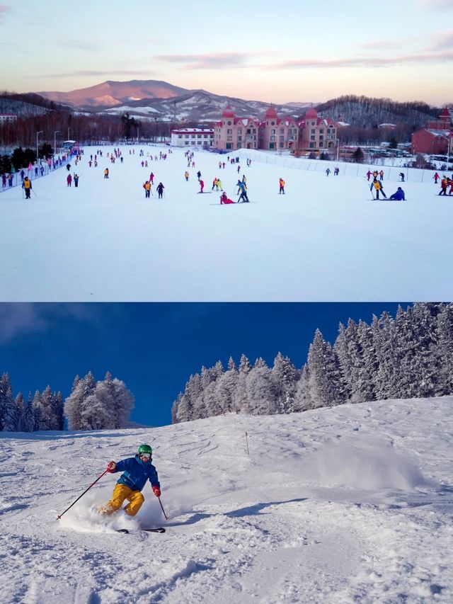 今年做過蕞瘋狂的事情，去了中國蕞北-漠河