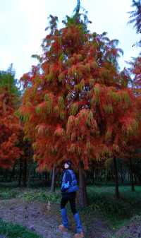 上海|又給大家找到一個拍照好去處絕對出片