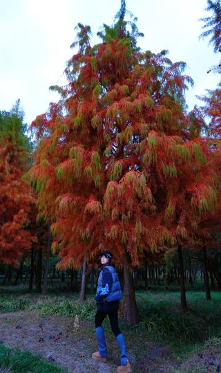 Shanghai | Found another great spot for photos that will definitely turn out amazing