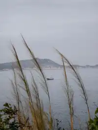 珠海