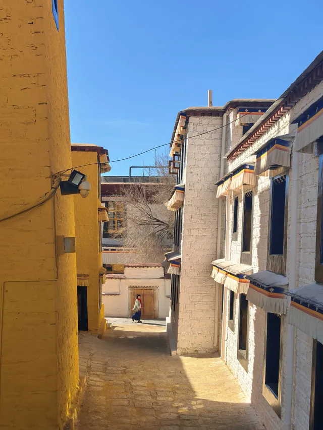 西藏day3|色拉寺 ·冬日拉薩鮮活的午後 西藏day3|色拉寺 ·冬日拉薩鮮活的午後