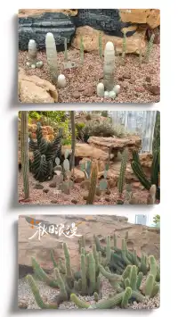 探索上海溫室花園的綠意秘境 