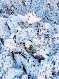 都在吹廬山雪景治癒?我想說:別太當真!