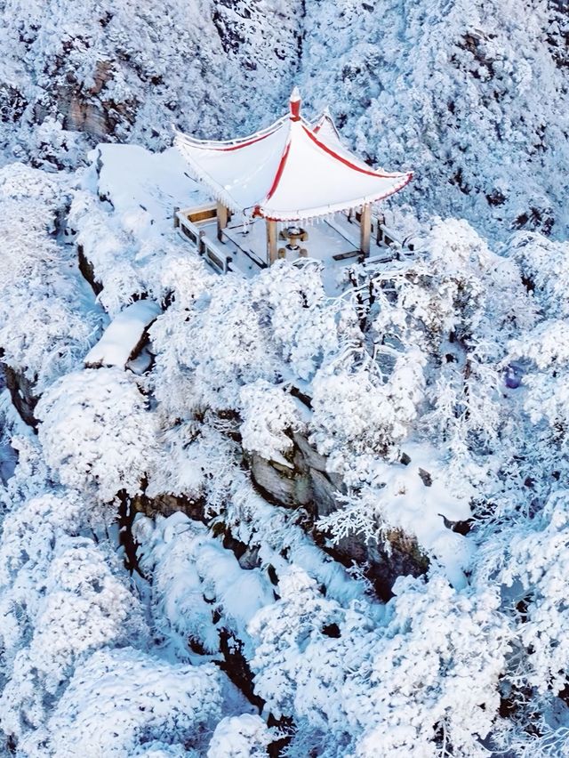 都在吹廬山雪景治癒?我想說:別太當真! 都在吹廬山雪景治癒?我想說:別太當真!