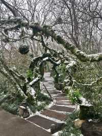 雲台山雪景絕了!初雪打卡攻略來啦~